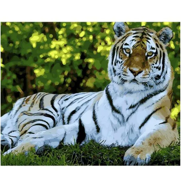 Tiger's Gaze DIY Digital Painting Kit Green - Shop at LoveMi