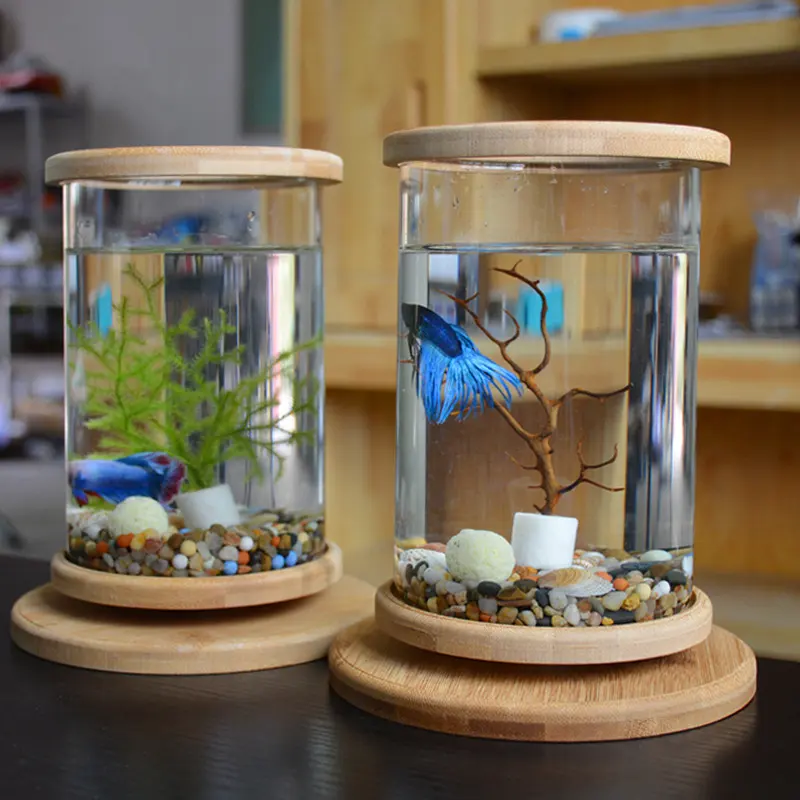 Small Office Glass Aquarium Bamboo Base Mini Fish Tank