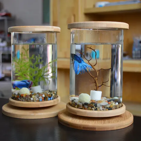 Small Office Glass Aquarium Bamboo Base Mini Fish Tank