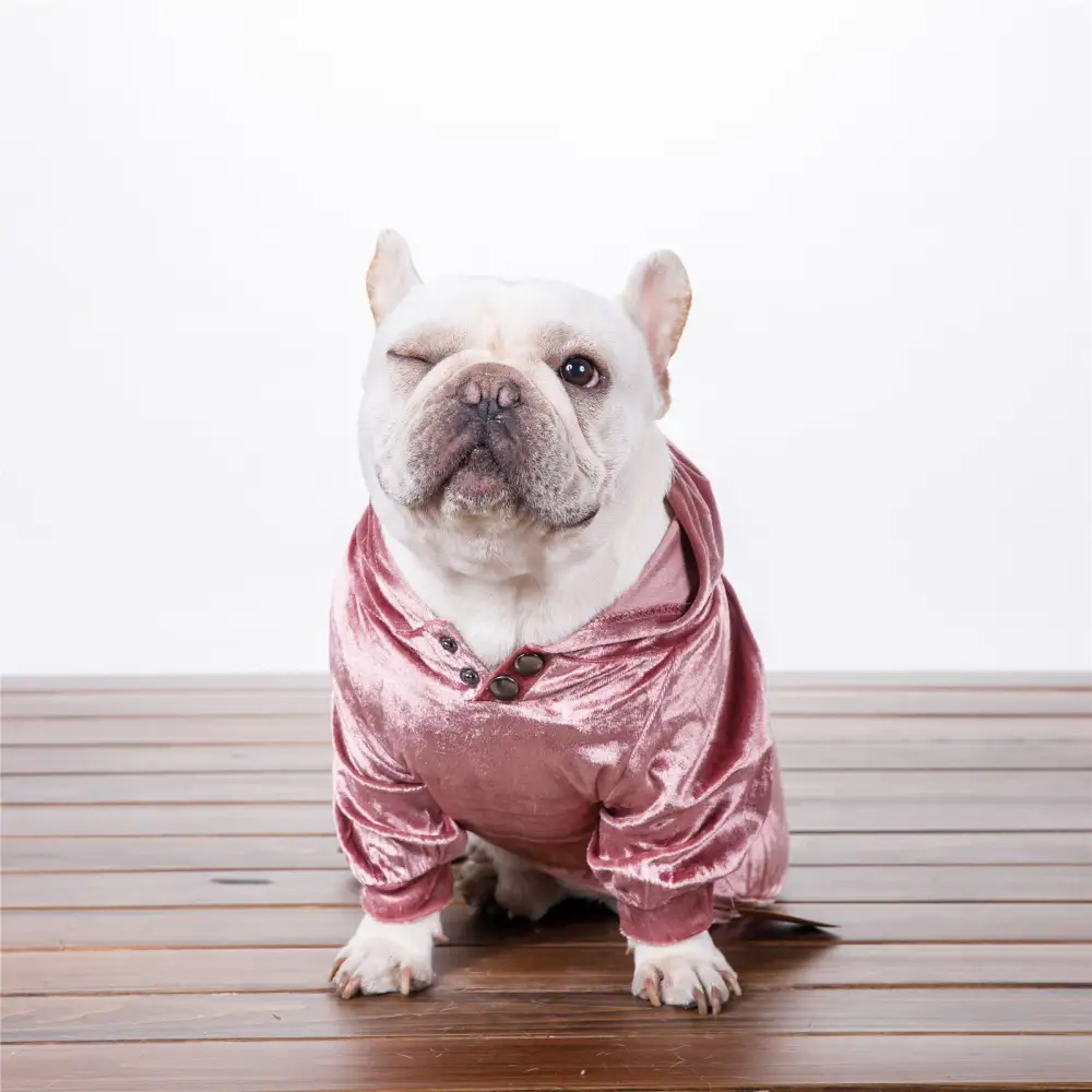 Dense Velvet Dog Clothes Teddy Bichon Pug Fall Winter