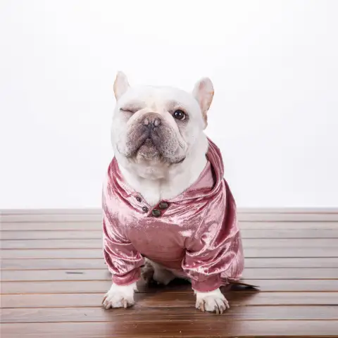 Dense Velvet Dog Clothes Teddy Bichon Pug Fall Winter
