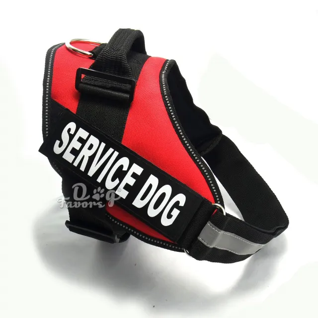 DogDogDogDogDogDogDogDog Grey - Shop at LoveMi