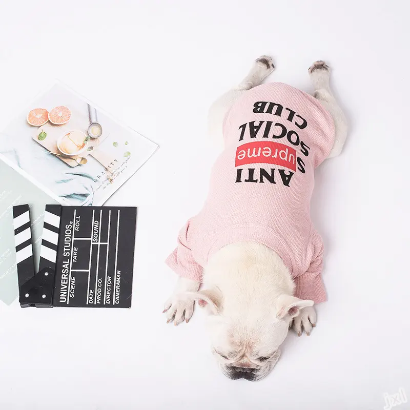 Dog Clothing Milk Dog Two-legged Casual Pet