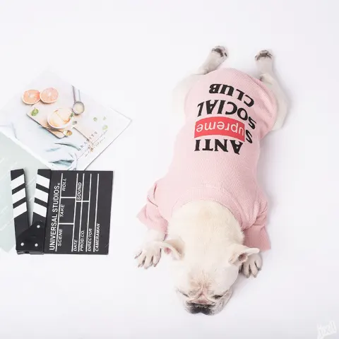 Dog Clothing Milk Dog Two-legged Casual Pet