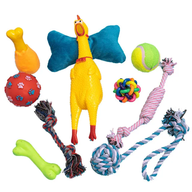 Dog Toy 10 piece Set, Resistant To Biting Teeth Medium Dog - Shop at LoveMi