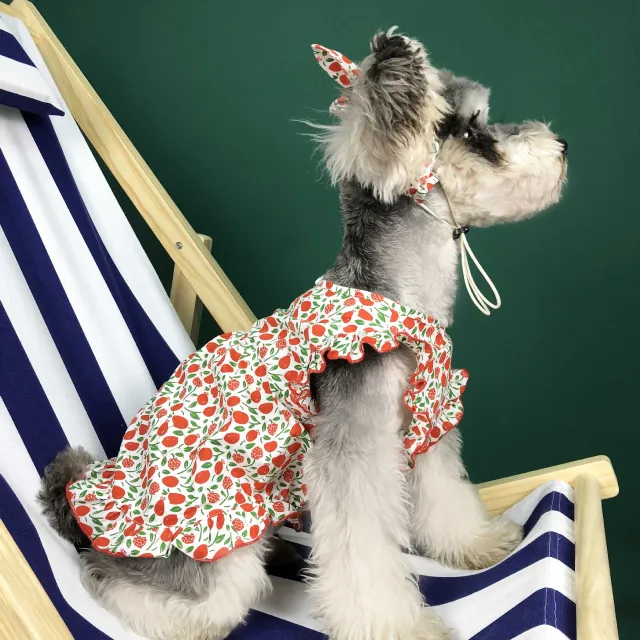 Dog Clothes Summer Thin Small Dog Dress Pet Clothes Cherry - Shop at LoveMi