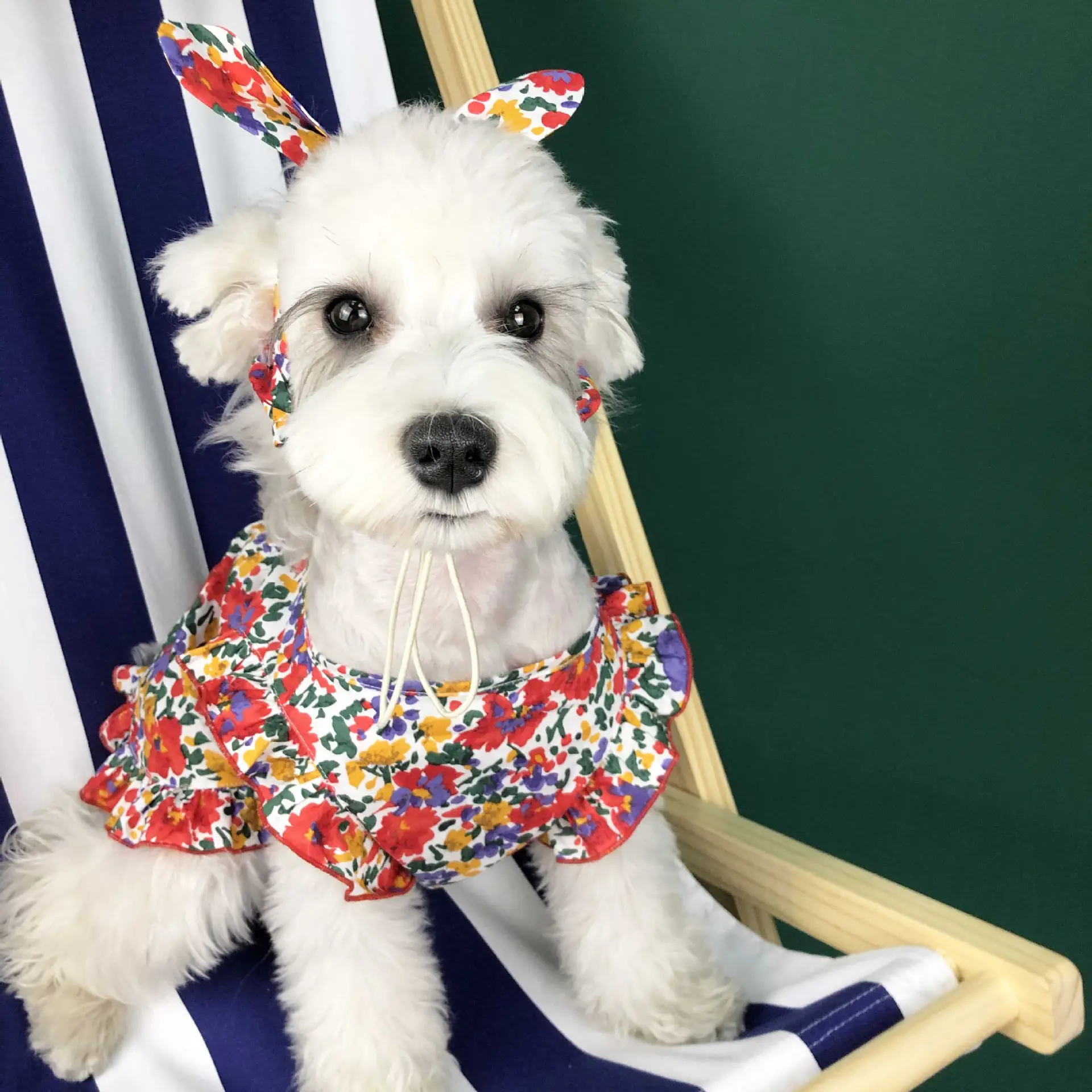 Dog Clothes Summer Thin Small Dress Pet