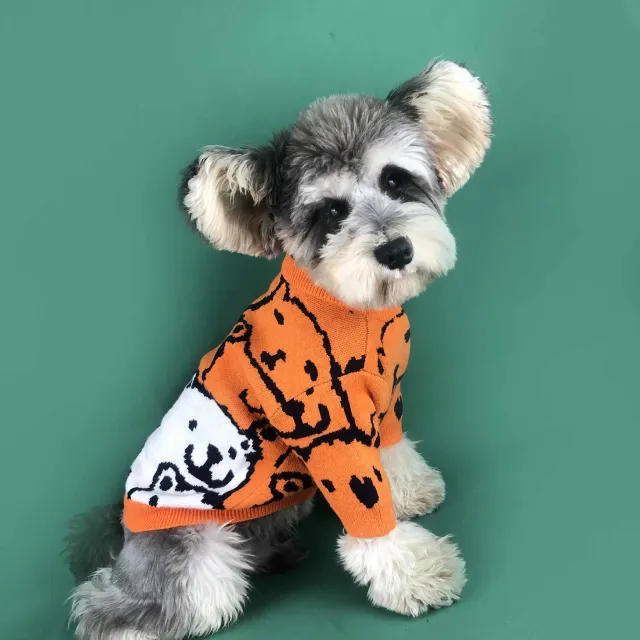 Dog Clothes Small Dog Spring And Autumn Pet Cubs Pullover Dog Sweater Orange - Shop at LoveMi