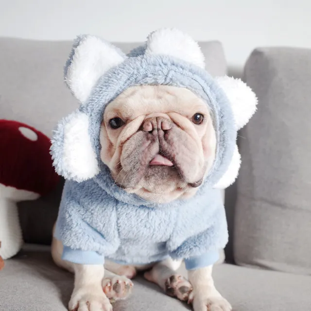 Dog Flower Sweater French Fighting Clothes Sun Flower Clothes Fleece Sweater Blue - Shop at LoveMi
