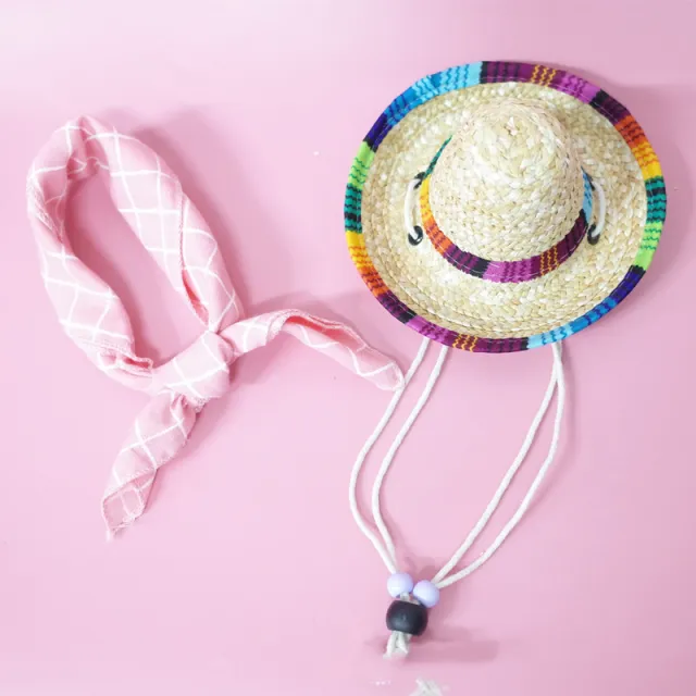 Pet Accessories Summer Outing Set - Shop at LoveMi
