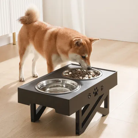 Adjustable Height and Large Capacity Stainless Steel Dog Food