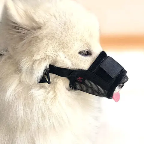 Dog Bite-proof Mouthpiece Guard Dog Furniture Protective Cover Leggings