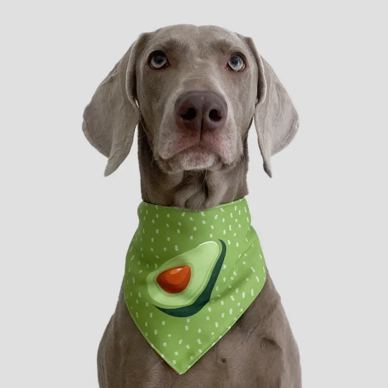 Handmade Summer Refreshing Avocado Pet Scarf Triangle Universal