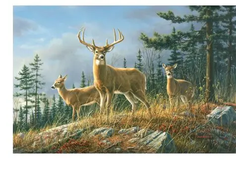 Autumn Whitetails DIY Painting By Numbers Kit No Frame - Shop at LoveMi