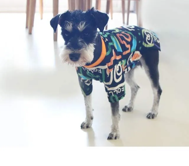 Pet Sweater Spring And Summer Household Dog Clothes Black - Shop at LoveMi
