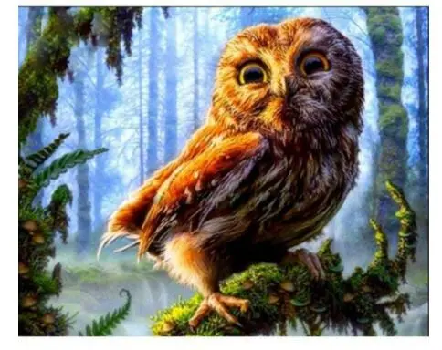 Baby Owl DIY Painting By Numbers Kit Photo Color - Shop at LoveMi