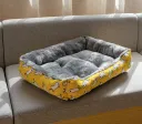 Little Chicken
