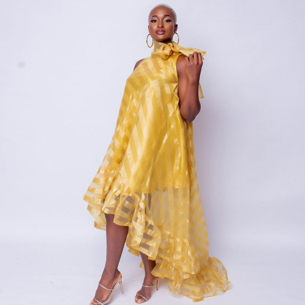 Stand-up Collar Sexy Sleeveless Perspective Striped Loose Casual Big Swing Dress