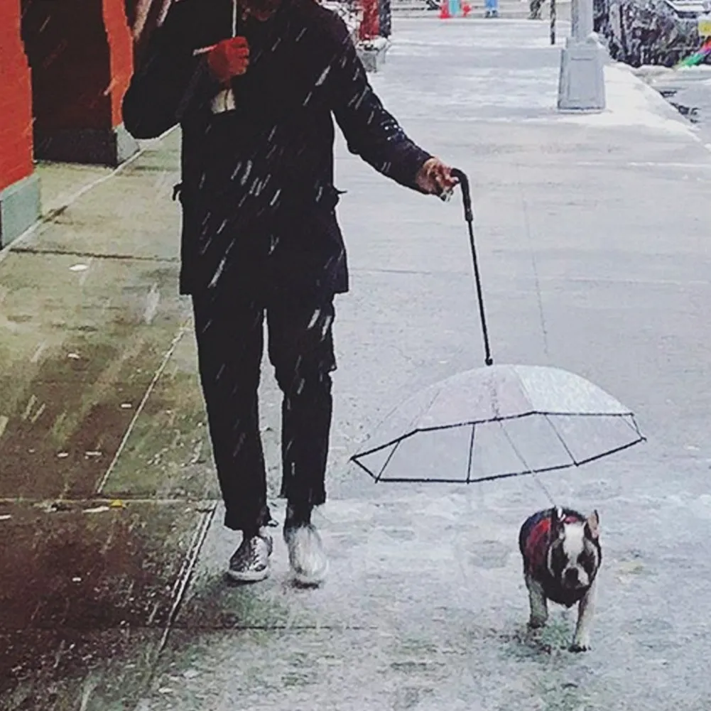 Dog's Transparent Umbrella With Traction Chain Removable Umbrella Pet Products – image 6