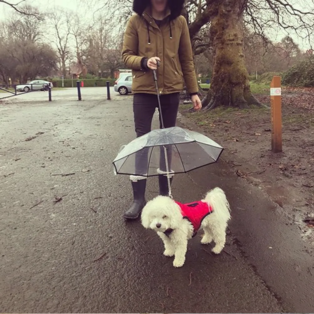Dog's Transparent Umbrella With Traction Chain Removable Umbrella Pet Products – image 7