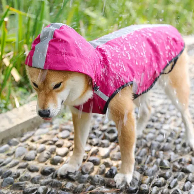 Pet Raincoat Is Waterproof And Easy To Put On And Take Off Red - Shop at LoveMi