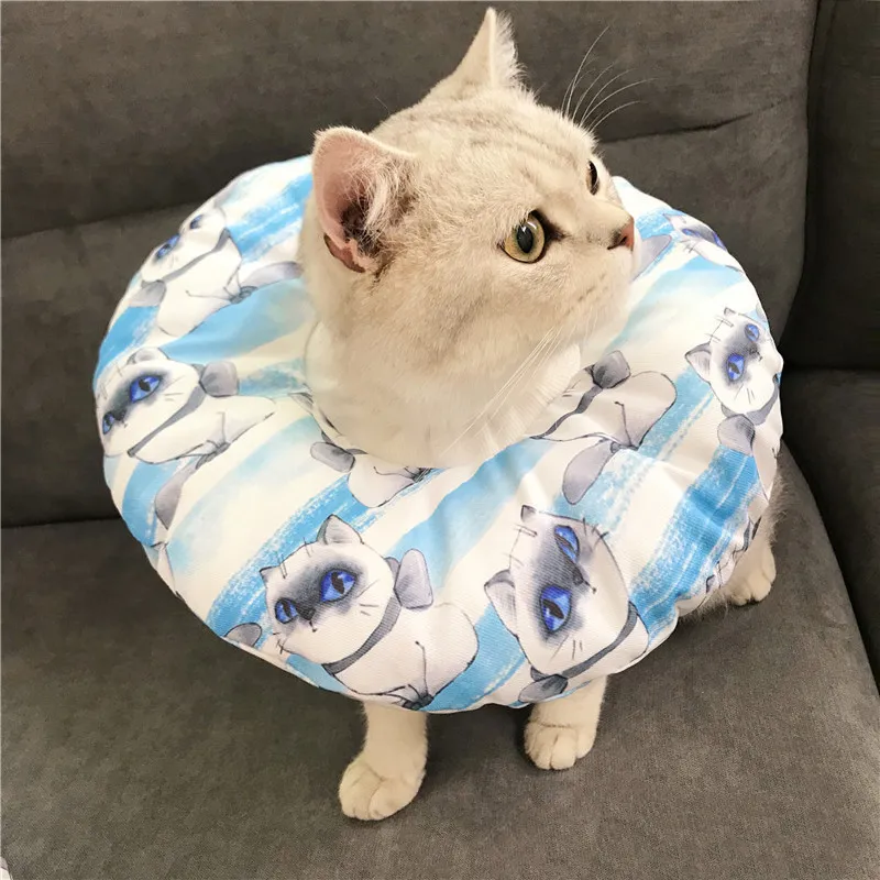 Anti-scratch Headgear - Tsundere Cat Blue