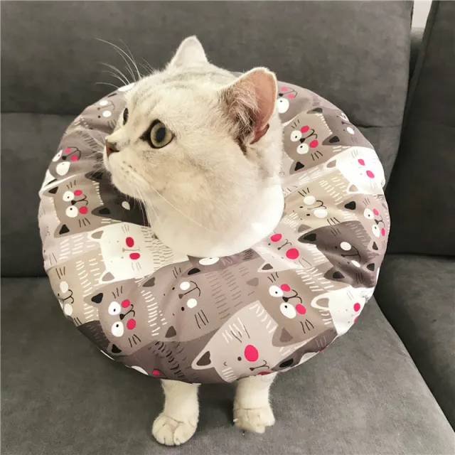 Anti scratch Headgear Little Cat Gray - Shop at LoveMi