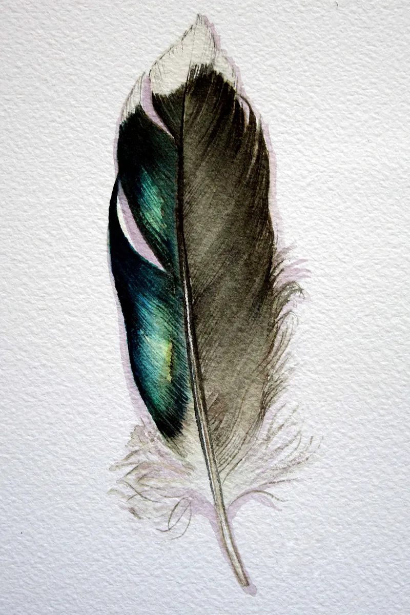 Feather Hanging Wall Art Painting Living Room Background