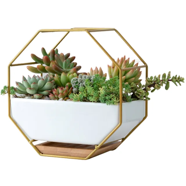 Nordic Minimalist Creative Geometric Wrought Iron Metal Bracket Ceramic Flower Pot Set Succulents Green Plants Potted Ornaments Gold - Shop at LoveMi
