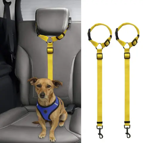 Car Backseat Pet Leash for Stability
