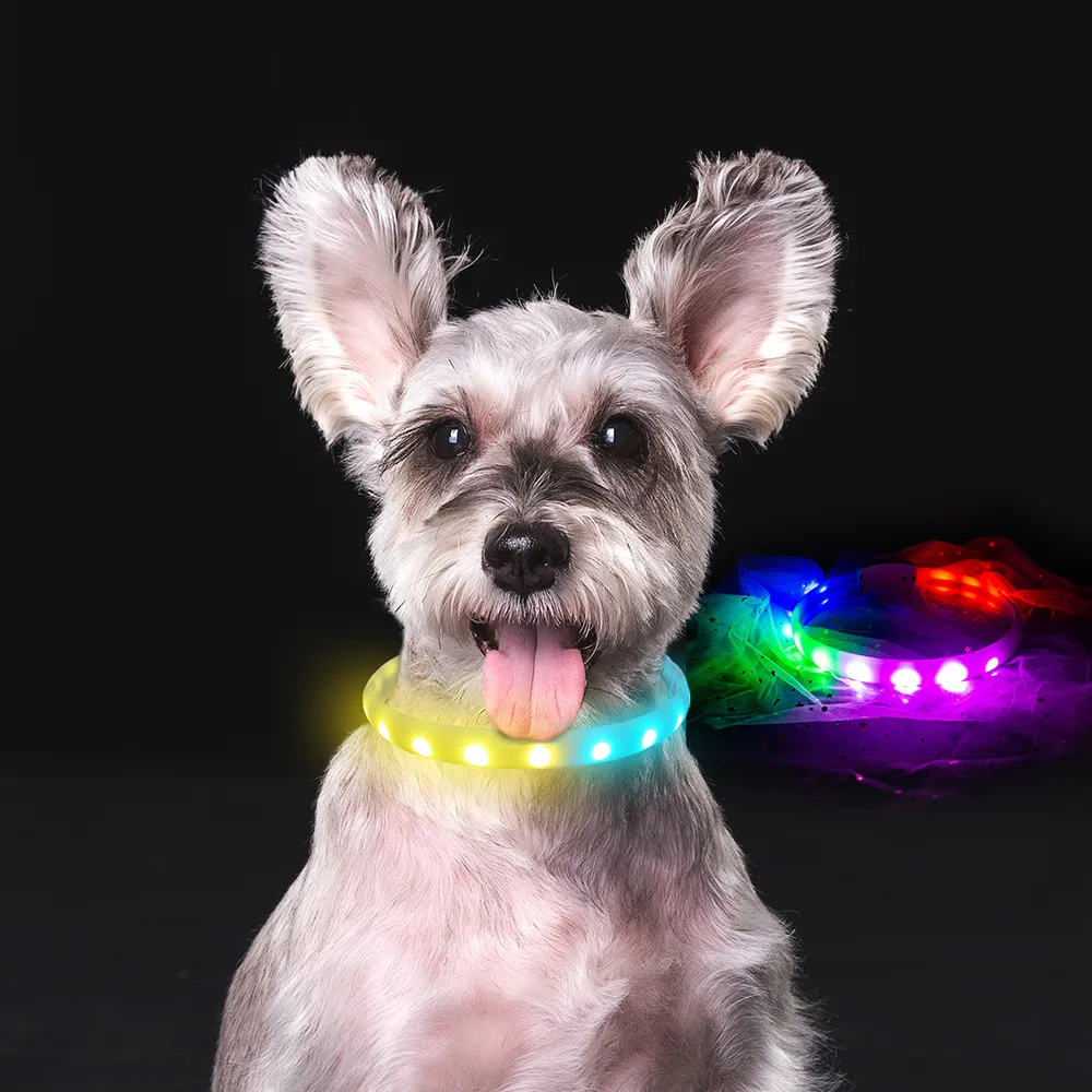 Flash Collar for Dogs USB Charging Anti-Lost Silicone Necklace