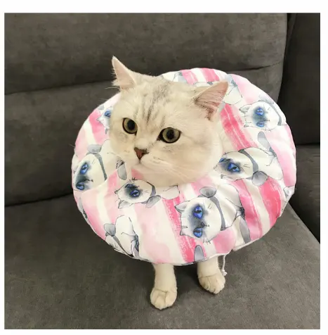 Waterproof Pet Sterilization, Bite, Lick, And Scratch-proof