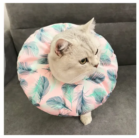 Waterproof Pet Sterilization, Bite, Lick, And Scratch-proof Headgear - 8 Style