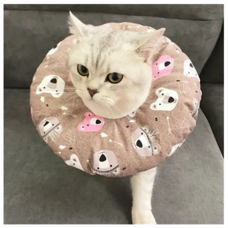 Waterproof Pet Sterilization, Bite, Lick, And Scratch proof Headgear 9 Style - Shop at LoveMi