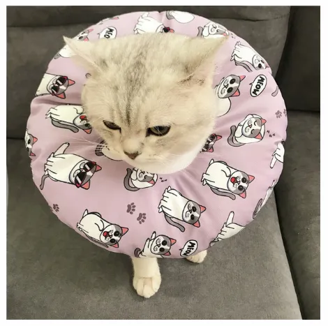 Waterproof Pet Sterilization, Bite, Lick, And Scratch proof Headgear 12 Style - Shop at LoveMi