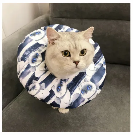 Waterproof Pet Sterilization, Bite, Lick, And Scratch proof Headgear 10 Style - Shop at LoveMi