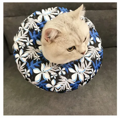 Waterproof Pet Sterilization, Bite, Lick, And Scratch proof Headgear 13 Style - Shop at LoveMi