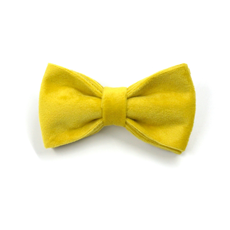 Collier et nœud papillon en velours jaune pour chien, boucle en or Rose, peut être gravé, costume de collier pour chien