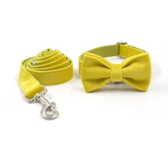 Elegant Yellow And Green Velvet Dog Go Out Collar Traction Rope Set - Yellow - View 1