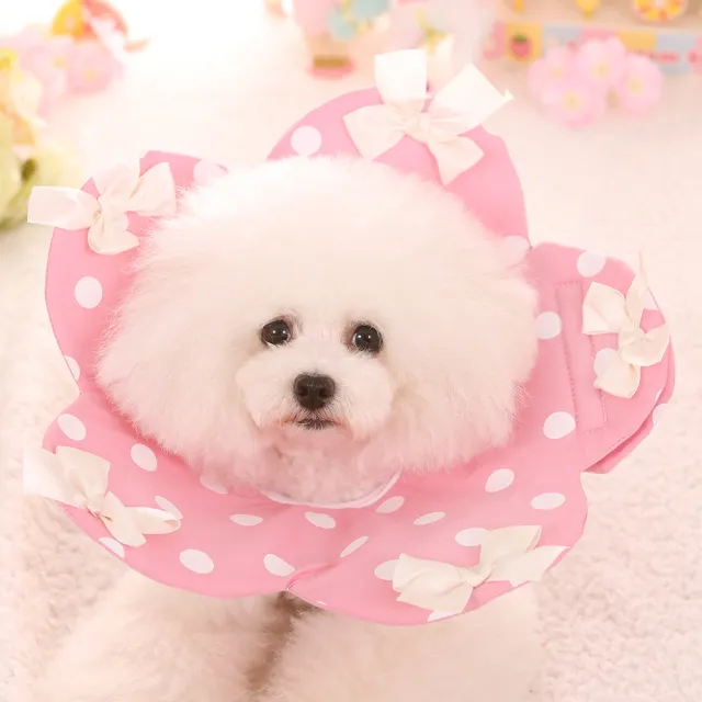 Four Seasons New Flower Elizabethan Ring Teddy Pet Dog Anti bite Ring Fold Pink - Shop at LoveMi