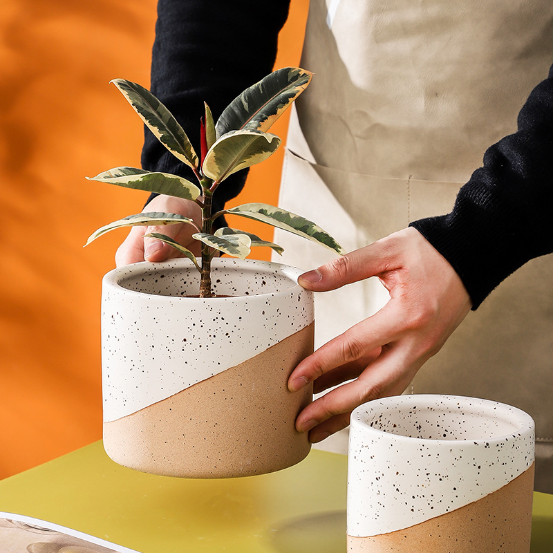 Person holding a ceramic plant pot indoors, another on a table