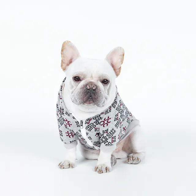 Teddy Dog Pattern Print Pet Clothes Red - Shop at LoveMi