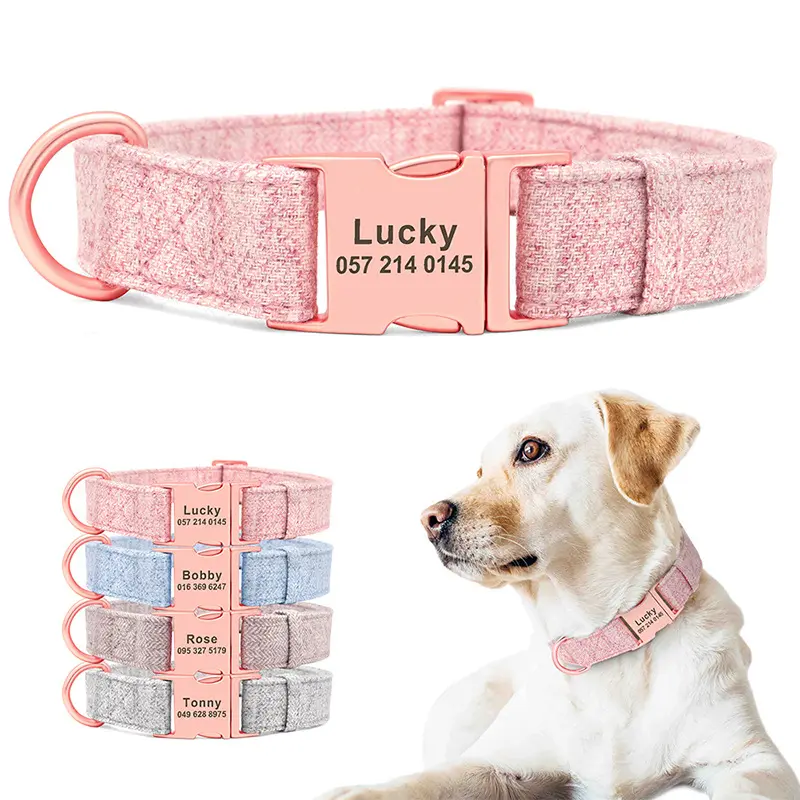 Pet Dog Collar Engraving Anti-Lost Traction Rope