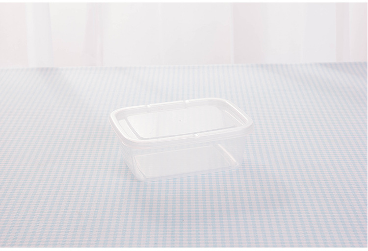 Title 5, Rectangular Box Transparent Plastic PP Crisper ...