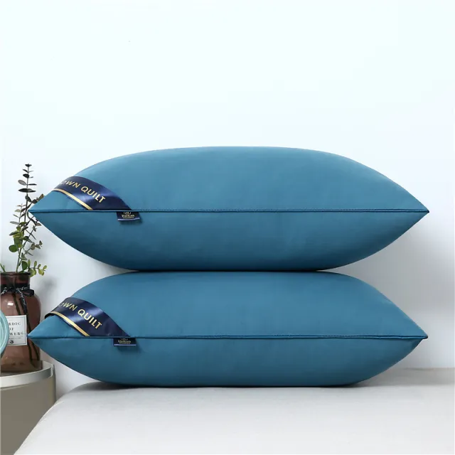 Hotel And Hotel Home Pillow Core Protect Cervical Spine Pillow Core Blue - Shop at LoveMi