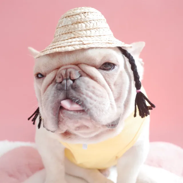 Dog Double Braid Straw Hat, Cat Hat, French Braided Hat Black - Shop at LoveMi