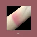 A04