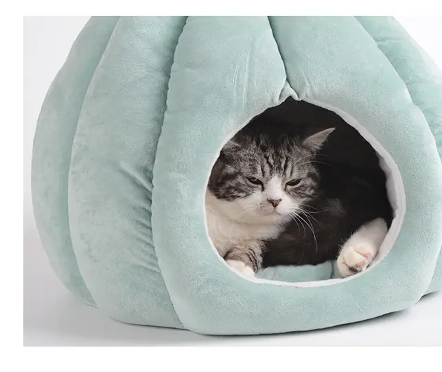 Cartoon Cactus Pet Kennel Dog Kennel Small And Medium
