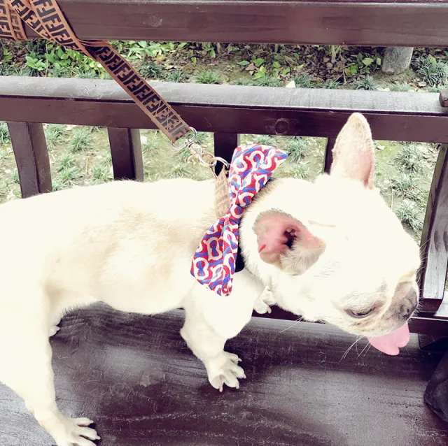Pet Bow Tie Dog Bow Tie Removable Handsome And Customizable Collar Stylea - Shop at LoveMi