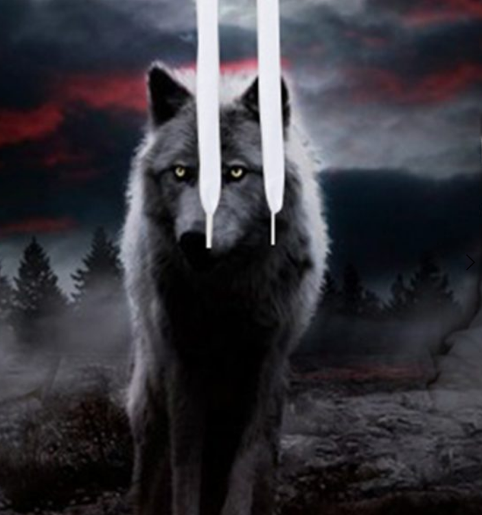 New Evil Wolf Tide Brand Digital Print Hooded Pullover Spring and Autumn Plus Size Couple Top